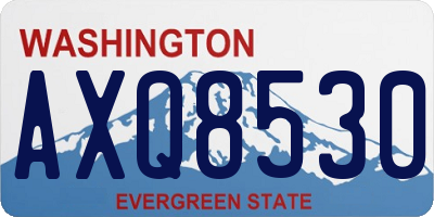 WA license plate AXQ8530
