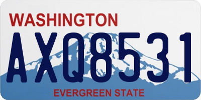WA license plate AXQ8531