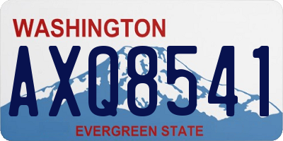 WA license plate AXQ8541