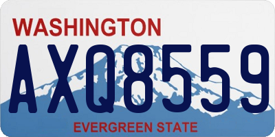 WA license plate AXQ8559