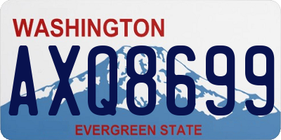 WA license plate AXQ8699
