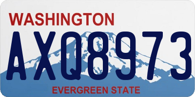 WA license plate AXQ8973