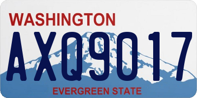 WA license plate AXQ9017