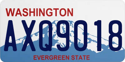 WA license plate AXQ9018