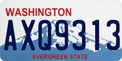 WA license plate AXQ9313