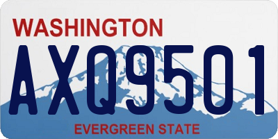 WA license plate AXQ9501