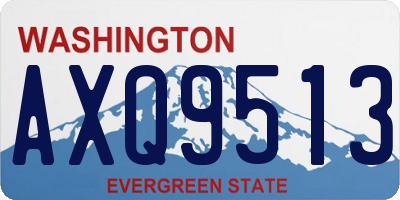 WA license plate AXQ9513