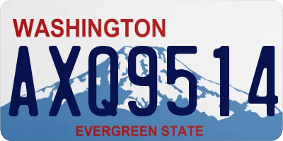 WA license plate AXQ9514