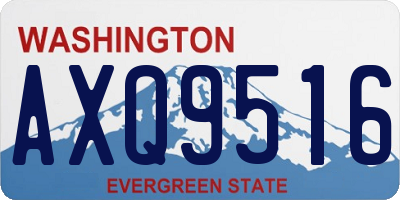 WA license plate AXQ9516