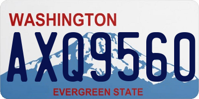 WA license plate AXQ9560
