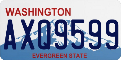 WA license plate AXQ9599