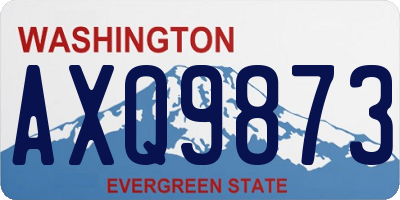 WA license plate AXQ9873