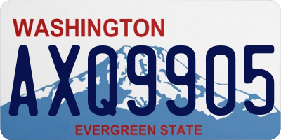 WA license plate AXQ9905