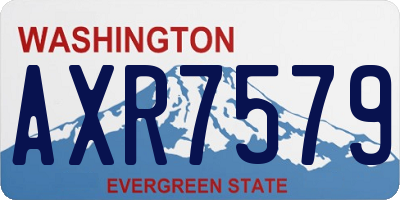 WA license plate AXR7579