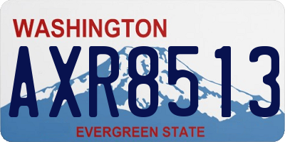 WA license plate AXR8513