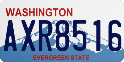 WA license plate AXR8516
