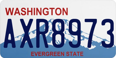 WA license plate AXR8973