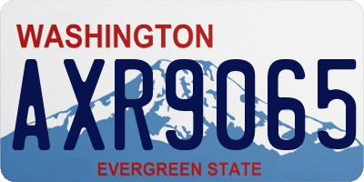WA license plate AXR9065