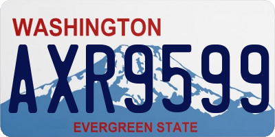 WA license plate AXR9599