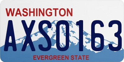 WA license plate AXS0163