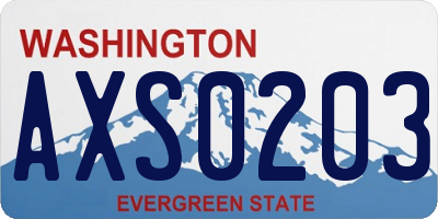 WA license plate AXS0203