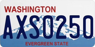 WA license plate AXS0250