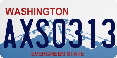 WA license plate AXS0313