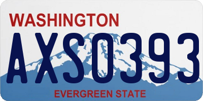 WA license plate AXS0393