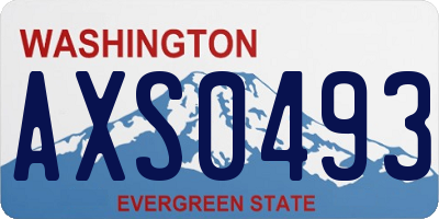 WA license plate AXS0493