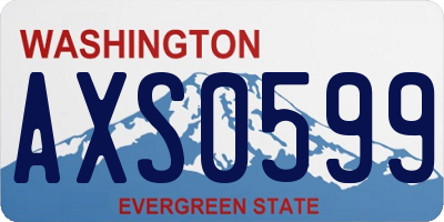 WA license plate AXS0599
