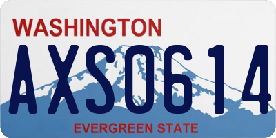 WA license plate AXS0614