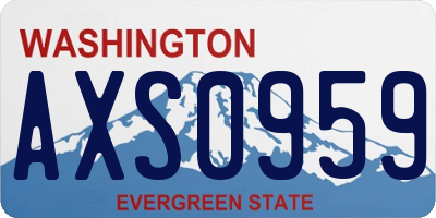 WA license plate AXS0959