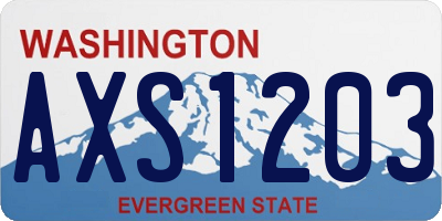 WA license plate AXS1203