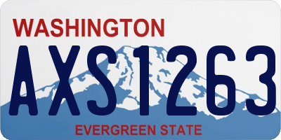 WA license plate AXS1263