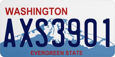 WA license plate AXS3901