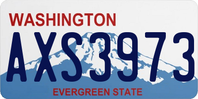 WA license plate AXS3973