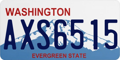 WA license plate AXS6515
