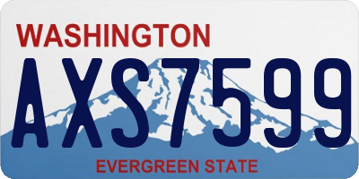 WA license plate AXS7599