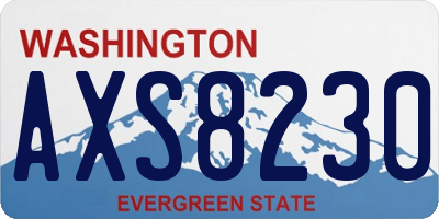 WA license plate AXS8230