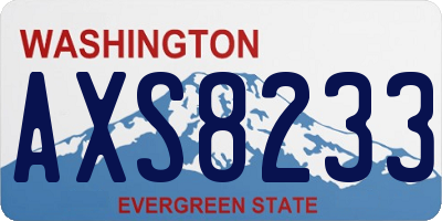 WA license plate AXS8233
