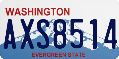 WA license plate AXS8514