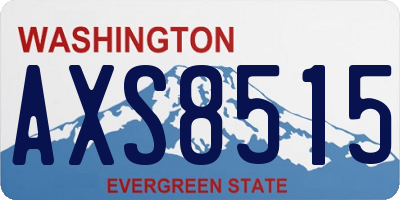WA license plate AXS8515