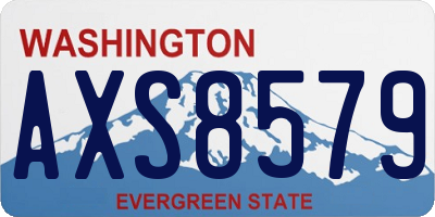 WA license plate AXS8579