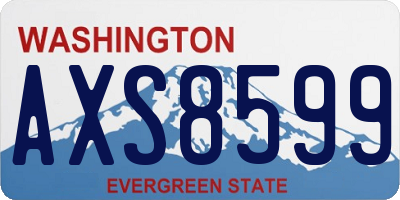 WA license plate AXS8599