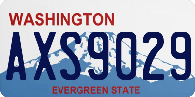 WA license plate AXS9029