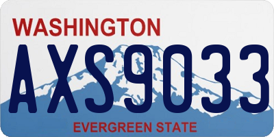 WA license plate AXS9033