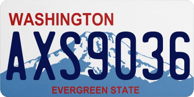 WA license plate AXS9036