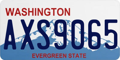 WA license plate AXS9065