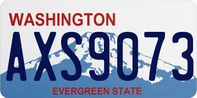WA license plate AXS9073