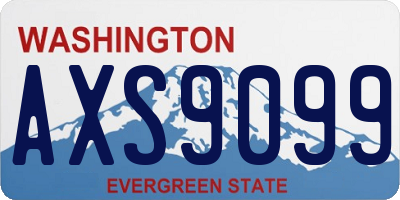 WA license plate AXS9099